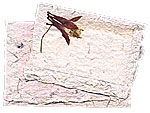 Pink recycled paper with inclusions, dandelions, clover and decorated with pressed bougainvillea