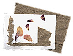 White handmade recycled paper with collage of rose petal paper and prairie grass paper on front