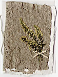 card from prairie grass paper plant paper card from plain paper