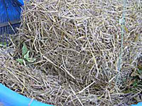 bale of wheat straw for papermaking