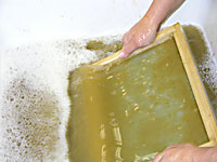 pulling a sheet of handmade wheat paper