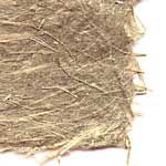 plain paper daylily stem sheet